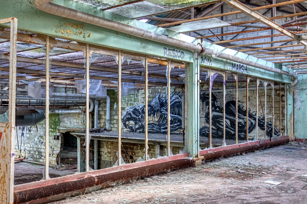 HDR graffiti streetart street-art street art skeleton factory urbex roa klaas van der linden kunst kunstwerk decay verlaten lost place places abandoned